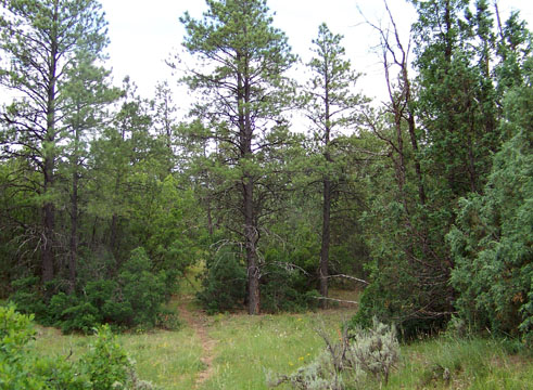 Rio Arriba County, New Mexico